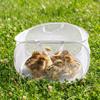 Folding Poultry Escape Fence Transparent Rutin Chicken Anti Escape Tent  Exercise Cage