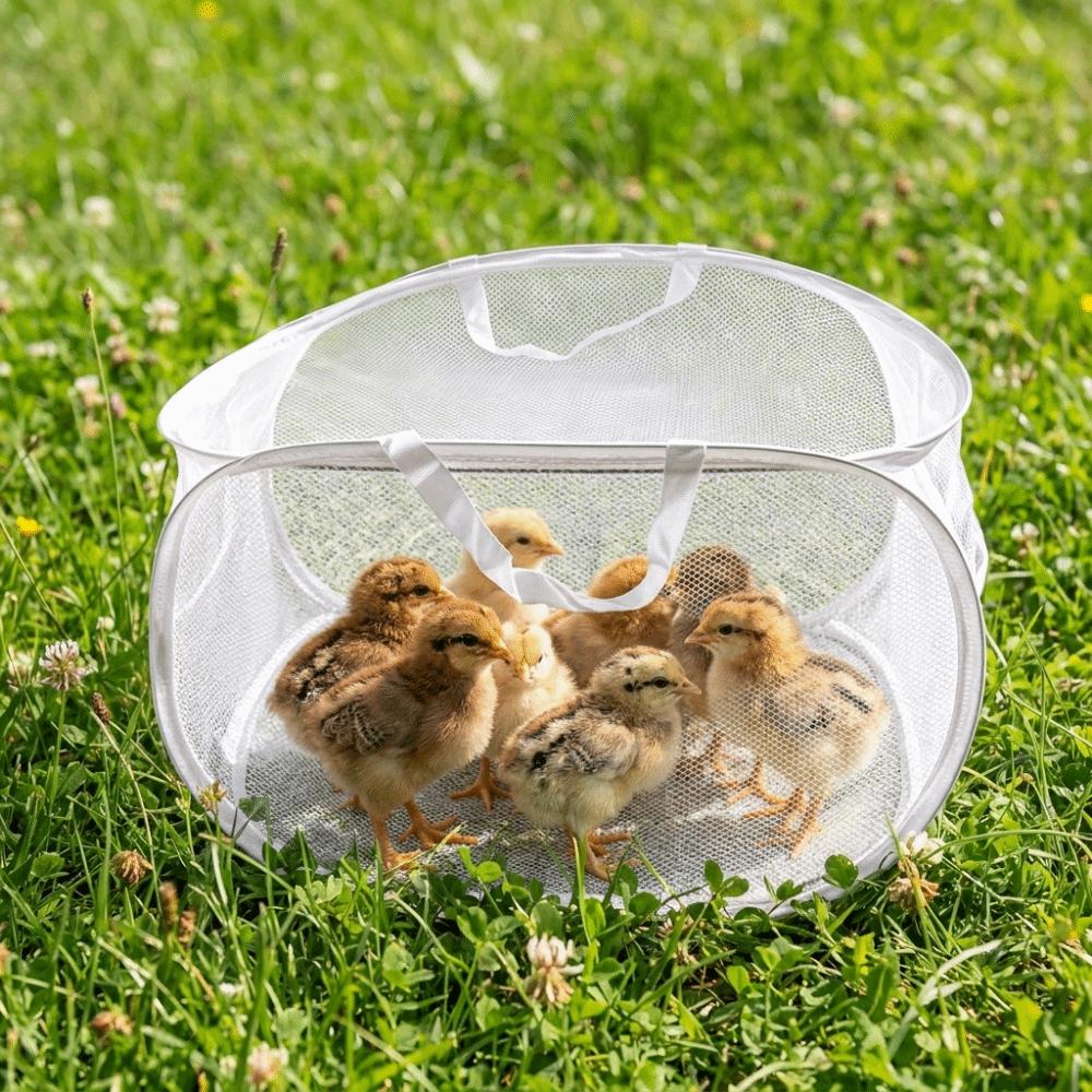 Folding Poultry Escape Fence Transparent Rutin Chicken Anti Escape Tent Exercise Cage