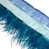 Feather1Meter 8-10cm Ostrich Feather Trim Fringe Ribbon Lake Blue for Dress Clothes Sleeve Decoration Sewing Plumes Fabric Fashion