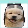 Mochila Grande de 15 Pulgadas para Perro Mochila Escolar para Niños Género Neutro Material Oxford