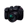 Panasonic Lumix GH5M2 Mirrorless Camera Kit (Black)