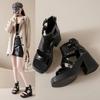 2026 Summer Hollow Fish Mouth Roman Shoes Sandals Thick Heel Platform Female Cool Boots Fashion High Heels Pumps
