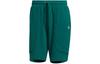 Pantalones – Pantalones cortos