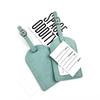 Cross-Border Travel Luggage Tag & Boarding Pass ID