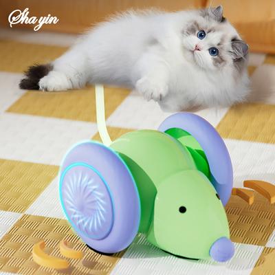 Kedi – Kedi Oyuncakları