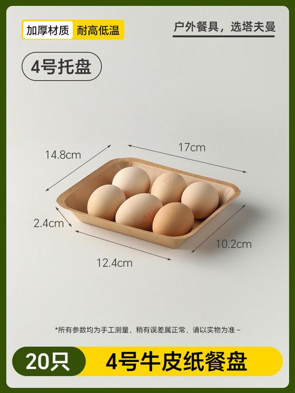 ZISIZ Disposable Food Grade Paper Plate