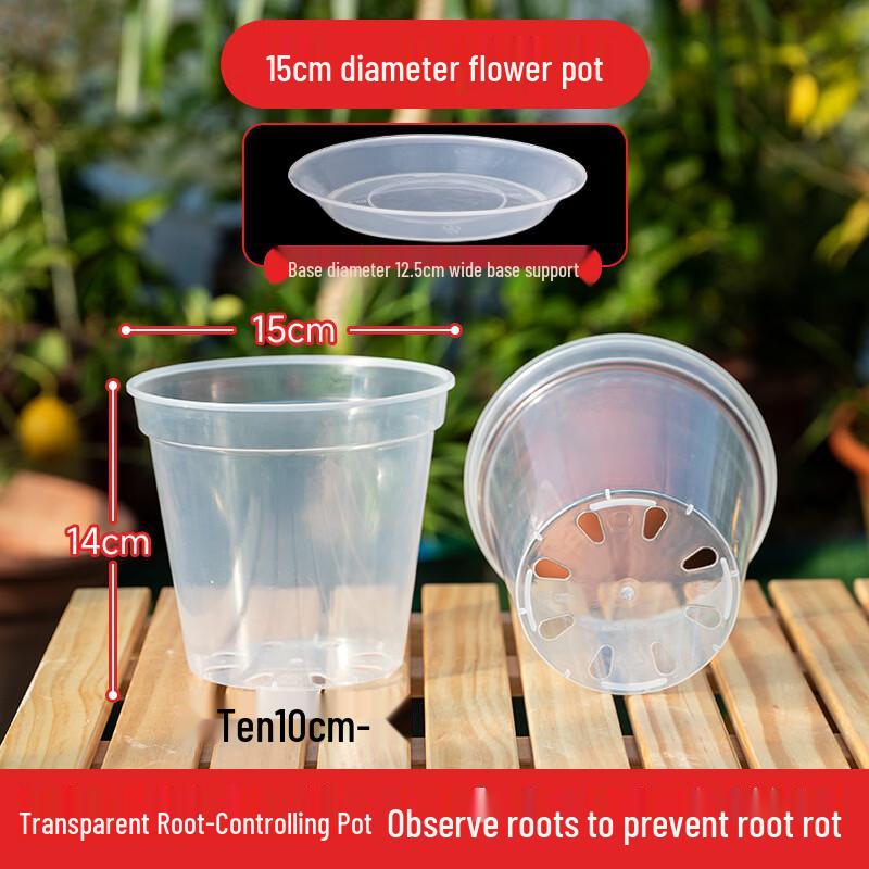 KEYSHEEL Transparent Root Control Orchid Pot