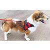 Soft Padded Adjustable Dog Vest Harnesses Chest Strap Outdoor Training Walking