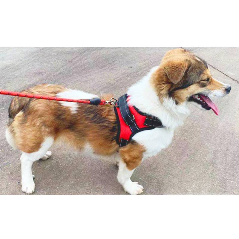 Soft Padded Adjustable Dog Vest Harnesses Chest Strap Outdoor Training Walking