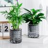 Self-Absorbing Flowerpot with Transparent Water Level Indicator Self Watering Planter with Bubble Texture Double-Layer Design for Indoor Plants
