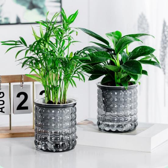 Self-Absorbing Flowerpot with Transparent Water Level Indicator Self Watering Planter with Bubble Texture Double-Layer Design for Indoor Plants