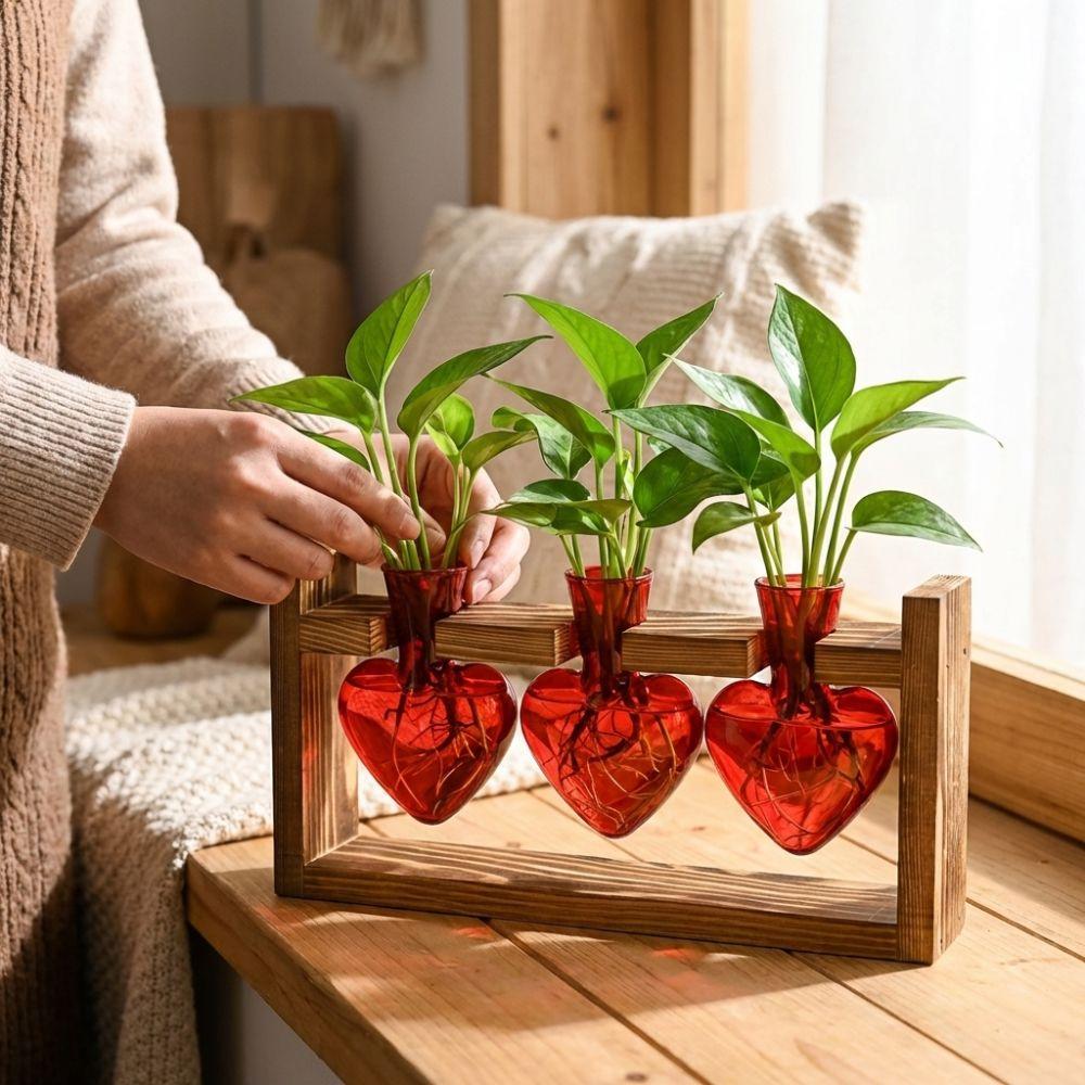 Transparente Hydroponik-Pflanzenvase Holzständer Holzrahmen Vase Pflanzenliebhaber Geschenk