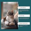 Cat Deterrent Spray, Natural Cat Spray Deterrent for Urine Marking & Scratching, Safe Indoor & Outdoor Effective Cat Scratch Deterrent Training Aid Fo