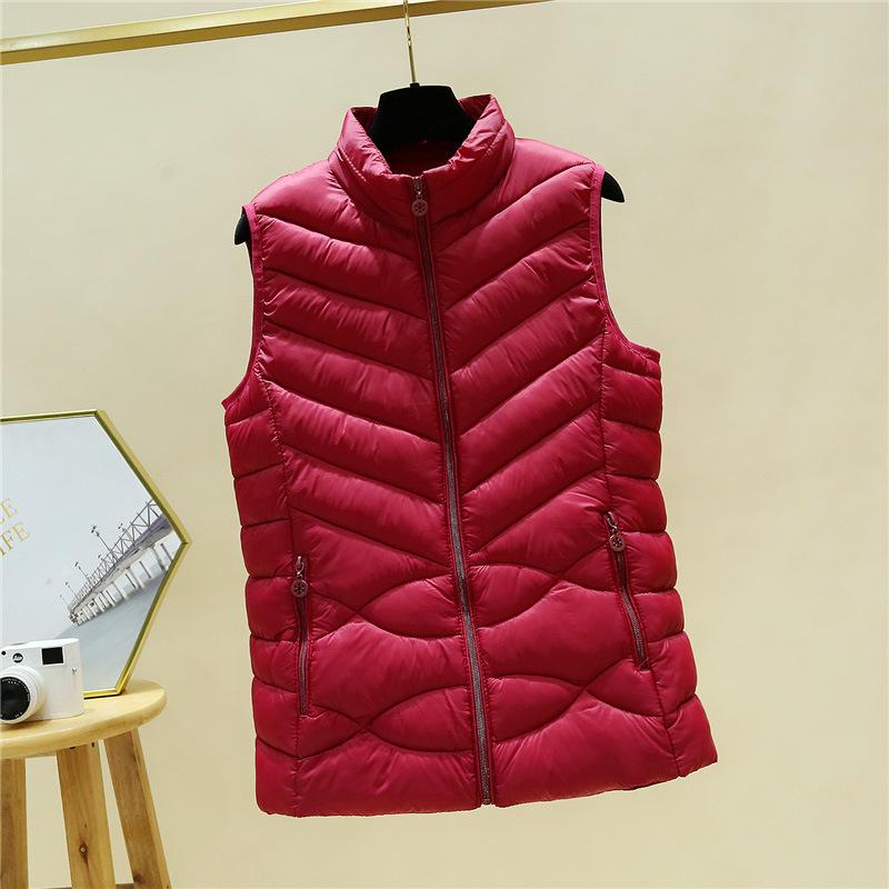 Autumn and Winter Women's Down Cotton Waistcoat, Short Casual, Thin Stand-up Collar, Thick Sleeveless Jacket, Cotton Waistcoat