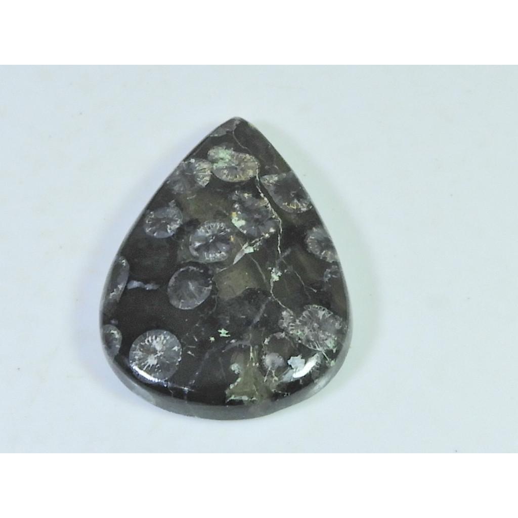 55Cts. Natural Black Fossil Coral Pear Cabochon Loose Gemstone 28X39X06 MM B-337