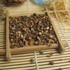 250g Organic Cassia Twig, Dried Herbs Gui Zhi
