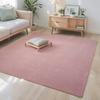 Ultra Soft Short Plush Carpet Anti Slip For Living Room Modern Sofa Area Rugs Children's Bedroom Game Mats Bedside Carpet Gray