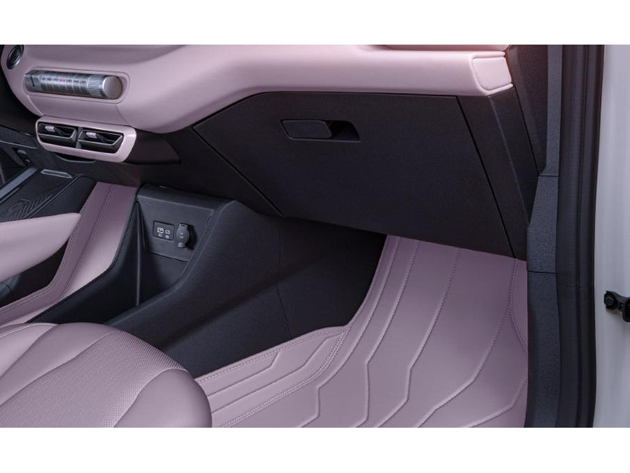 2024 Dongfeng Nano 01 Full Coverage Floor Mats for Car Interior Modification