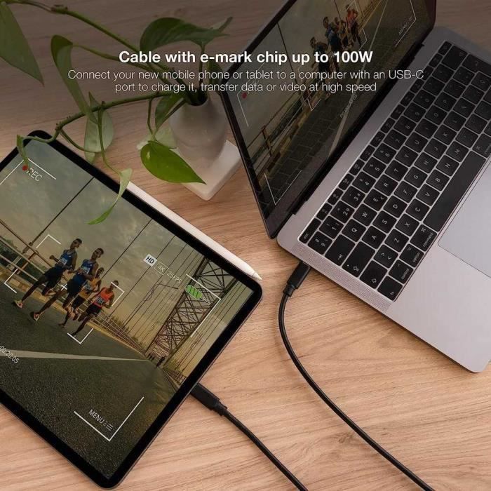 NANOCABLE, THE WAY TO CONNECT 10.01.4102 Câble Double USB 3.1 Gen.2 Type C Mâle 2m Noir 5A 4K-60Hz 10Gbps 5A 10.01.4102 2m Noir