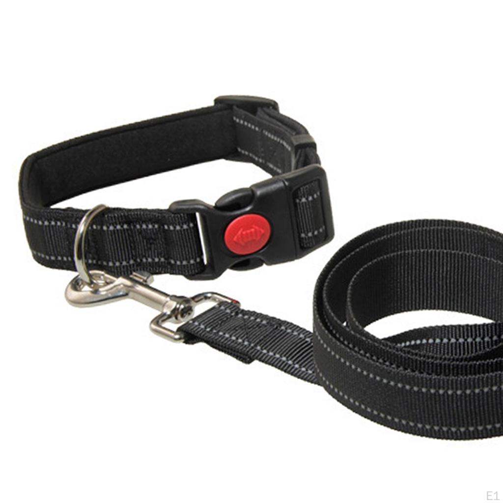 Dog Leash for