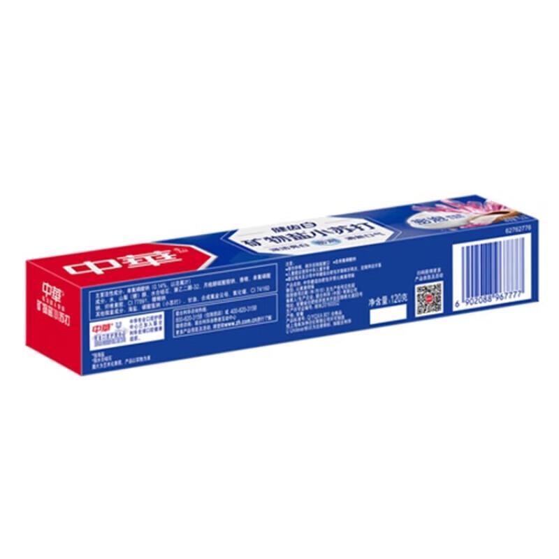 Zhonghua Healthy White Mineral Salt Baking Soda Mint Toothpaste