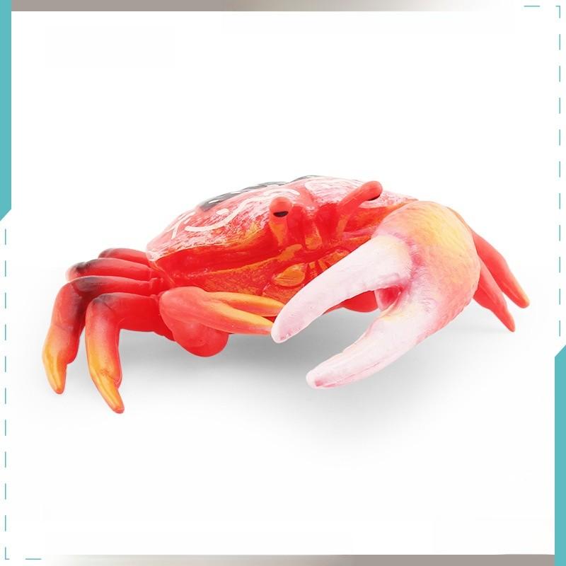 Pvc Fiddler Crab Collection Model Marine Animal Figurine For Aquarium Display And Gift