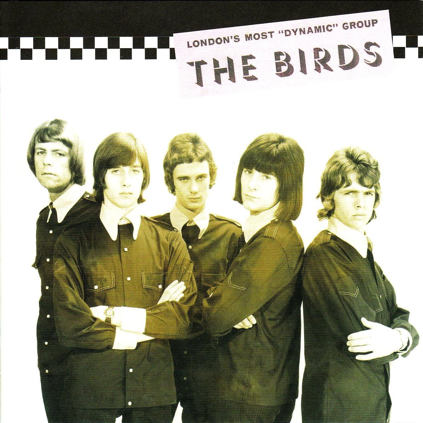 

CD BIRDS - Rare British Birds POCD1303 Japan ObiRock Used