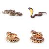 Snake Animal Model Reptile Figurine Static Display For Educational And Collector Use