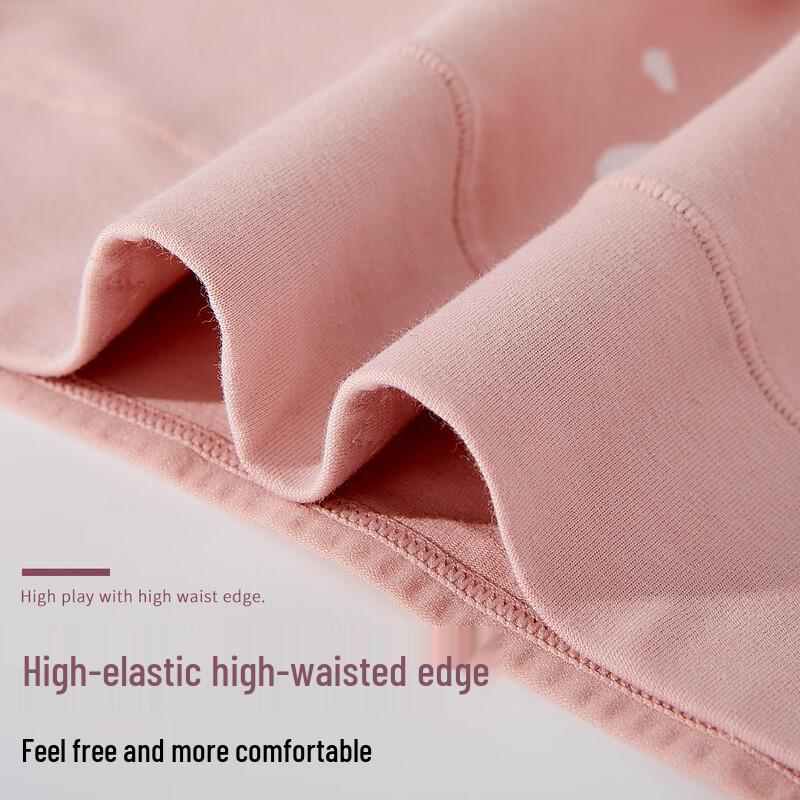LangSha Women's 4-Pack High-Waist Cotton Briefs
