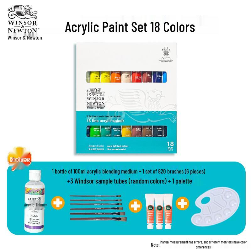 Winsor & Newton 12-Color Waterproof Acrylic Paint Set for DIY Stone, Textile & Wall Painting