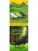 Adjustable Outdoor Moon Chair with Footrest for Camping, Balcony, or Home Use