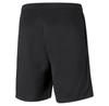 Puma Shorts 657336-03