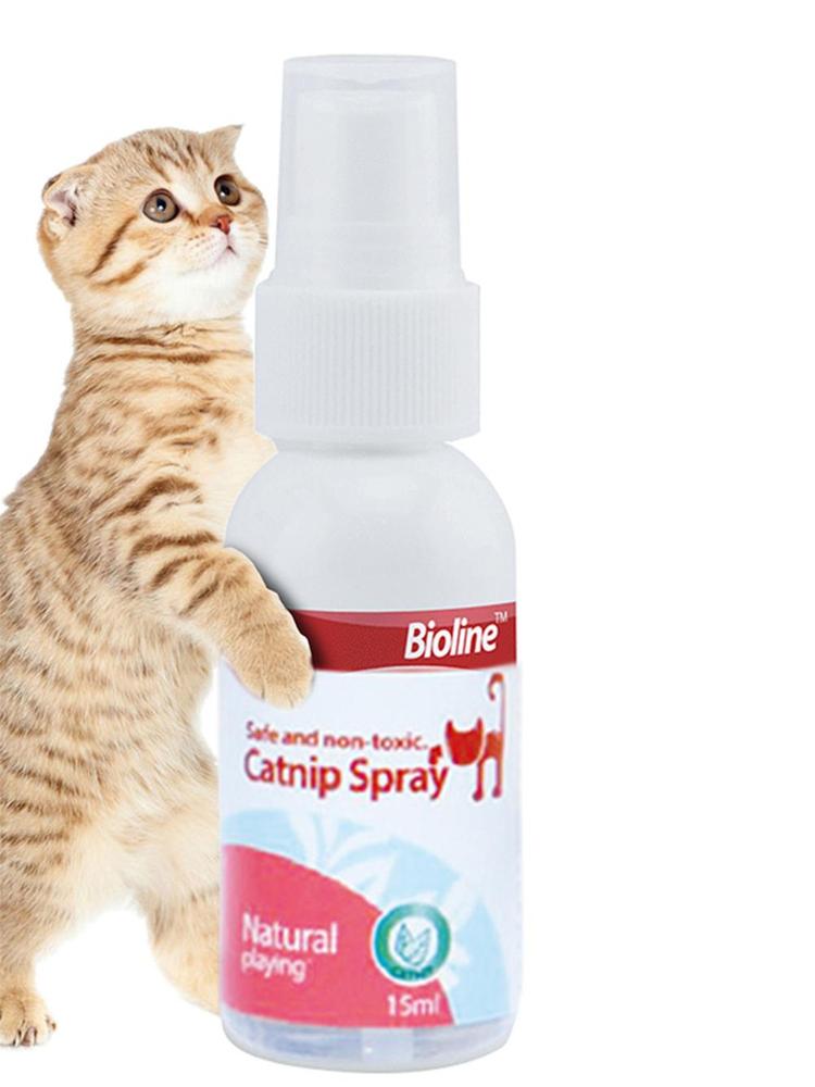 bioline catnip bubbles