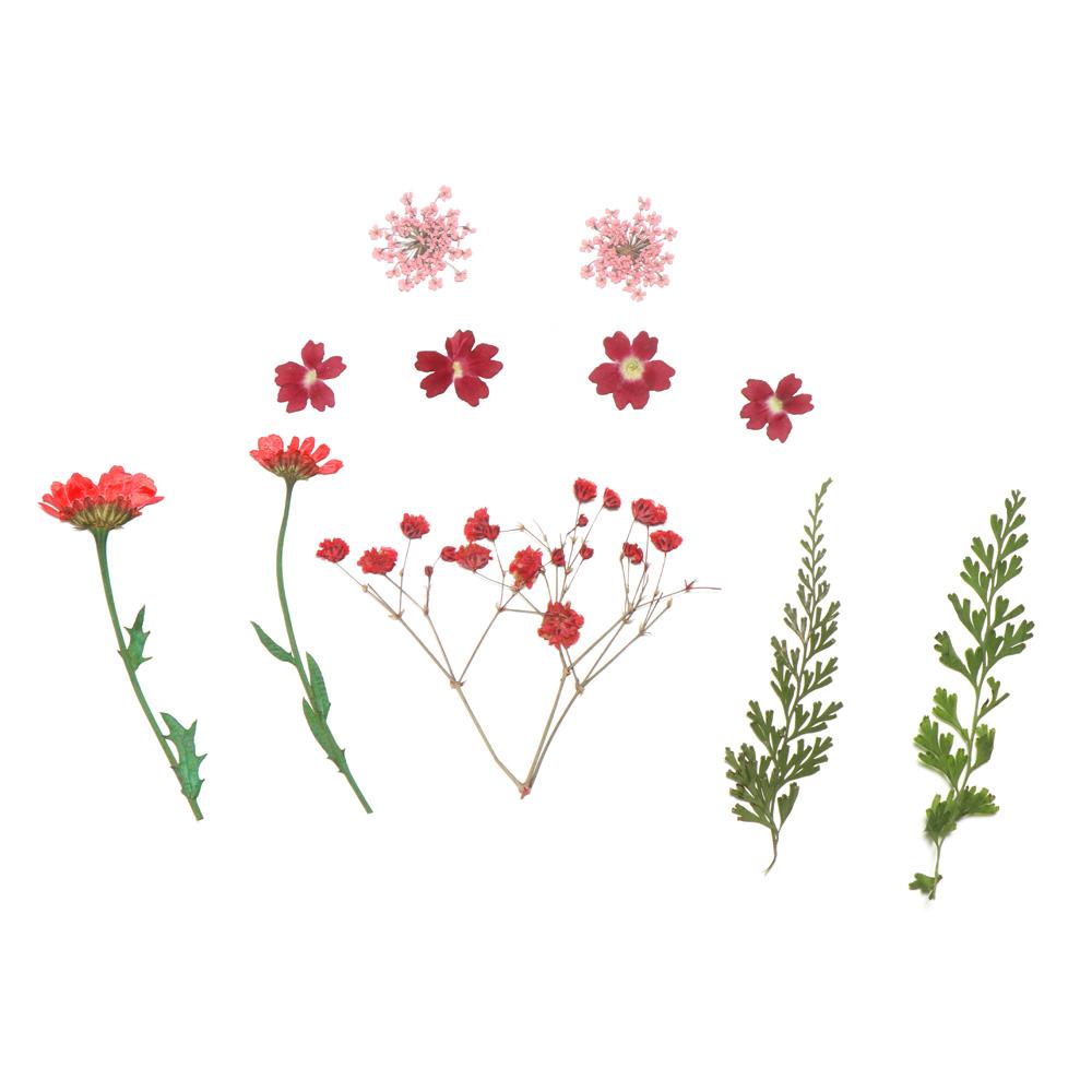 Jewelry Making Filling Materials Dried Flowers Resin Filler Beauty Decal Resin Mold Filling Flower