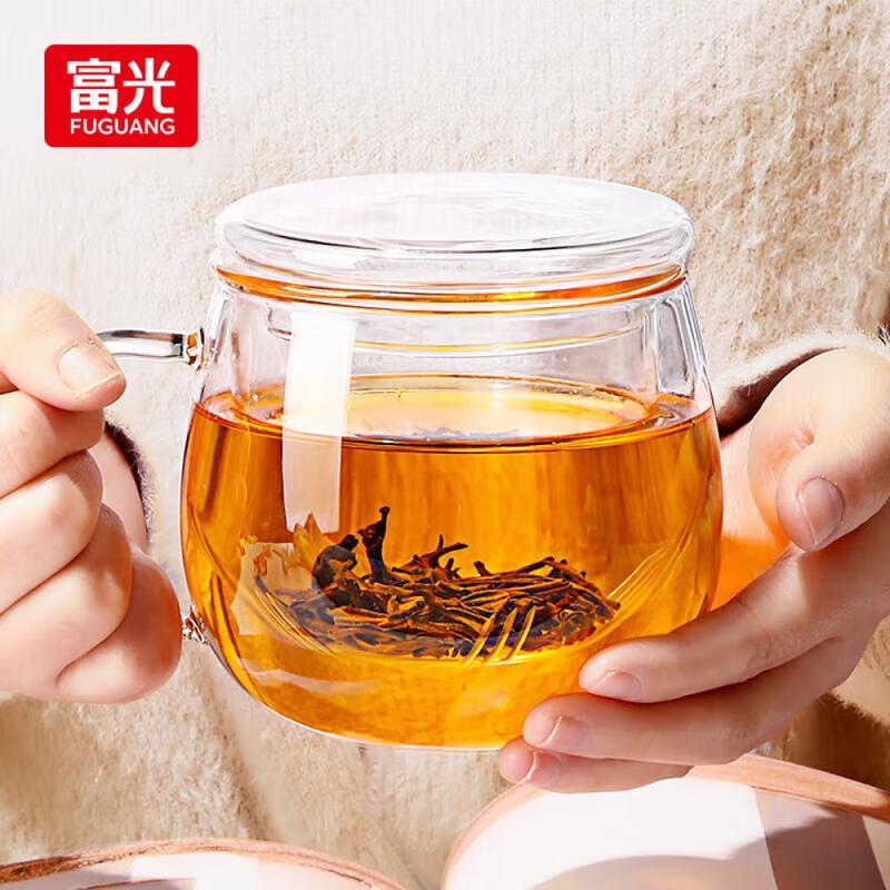 FUGUANG Portable Double Wall Glass Tea Infuser Mug