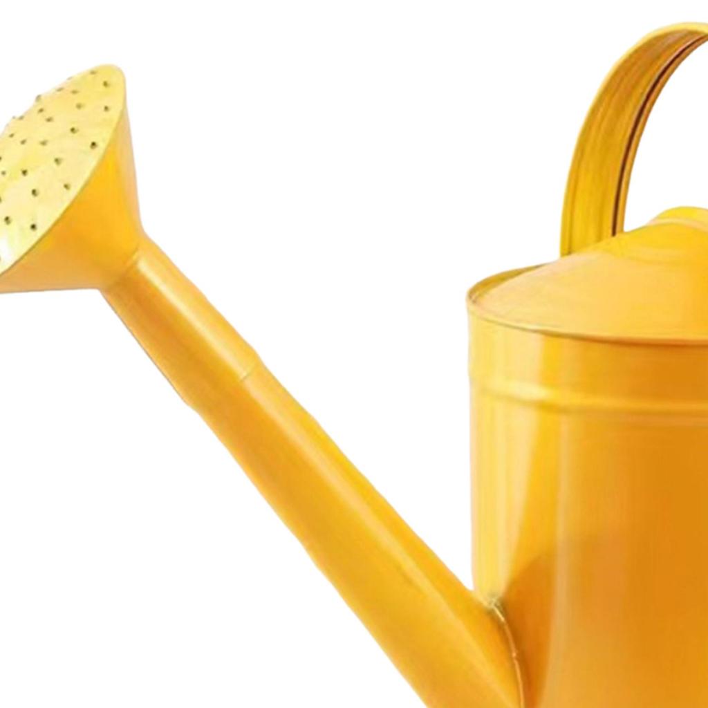 Metal Watering Can with 2 Handles Portable Reusable 4L Gardening Tool for Household Indoor & Outdoor Houseplants Flowers Plants