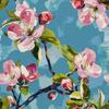 Outdoor Decorative Fabrics Oxford - Motif Spring I Dx7308