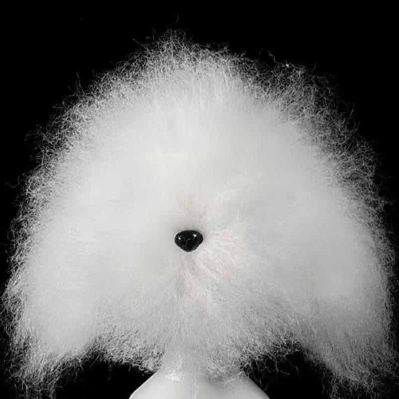 

Teddy Dog Head Hair Model Wig Practice Beauty Grooming Simulation Pet Head Hairs Fake Model Cutting Beautician Pets Products