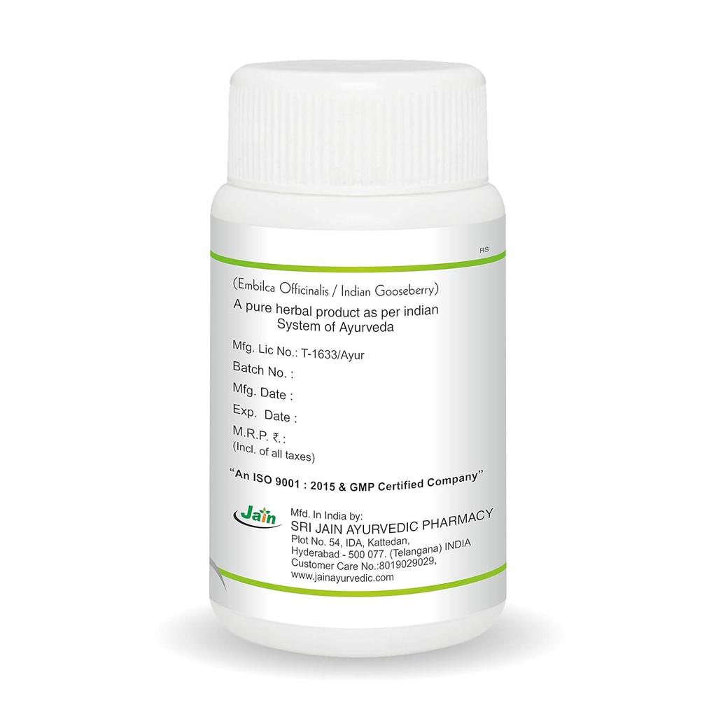 JAIN Amla Capsules 120 Count X Pack of 2 Natural Ayurvedic Supplement for Wellness and Energy Support