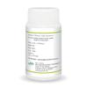 JAIN Amla Capsules 120 Count X Pack of 2 Natural Ayurvedic Supplement for Wellness and Energy Support