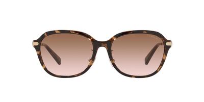 Sluneční brýle Coach Dark Tortoise Velikost 56 Dámské HC8332D,