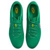 Nike Tiempo Legend 10 Academy Abrasion Resistant Soccer Shoes Unisex Green  HJ7268-300