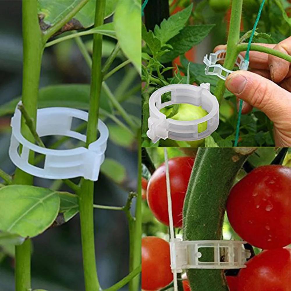 50/100Pcs Reusable Plastic Plant Clips Gardening Grafting Fixing Clamp Support Clip for Tomato Vegetable Plant