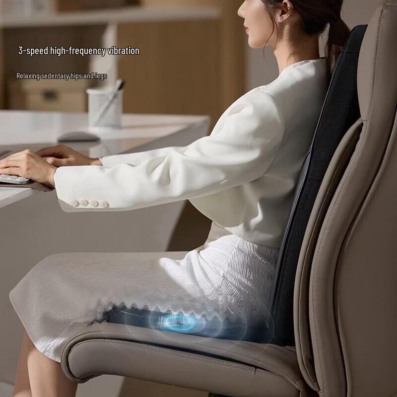 Philips Full Body Heating & Vibration Massage Cushion CN plug (adapter included)