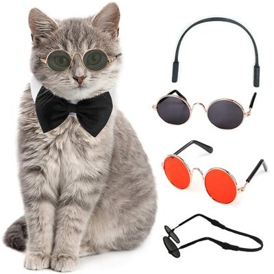 Gatos – Ropa