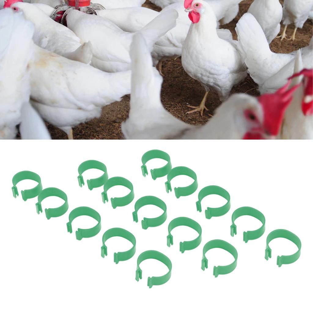 100 Pcs Poultry Feet Ring Open Type Buckle Breeding Chicken Duck Goose Foot Ring Chicken Accessory Green 16mm