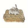 Natural Pet Grass Mat Hamster Small Animal Bed Safe Chew Toy For Rabbit Hedgehog Pet Supplies Natural Grass Hamster Bed Mat
