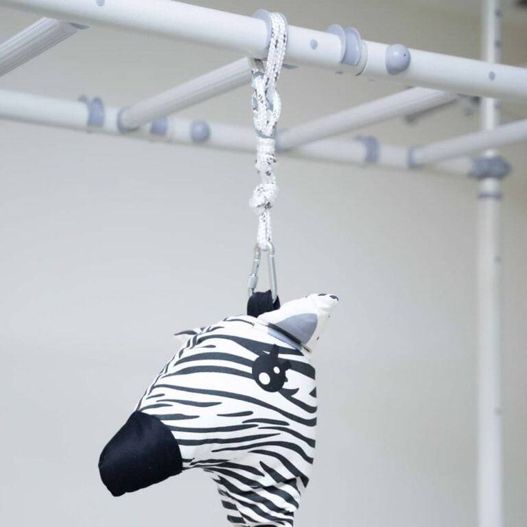cocoon swing Zebra
