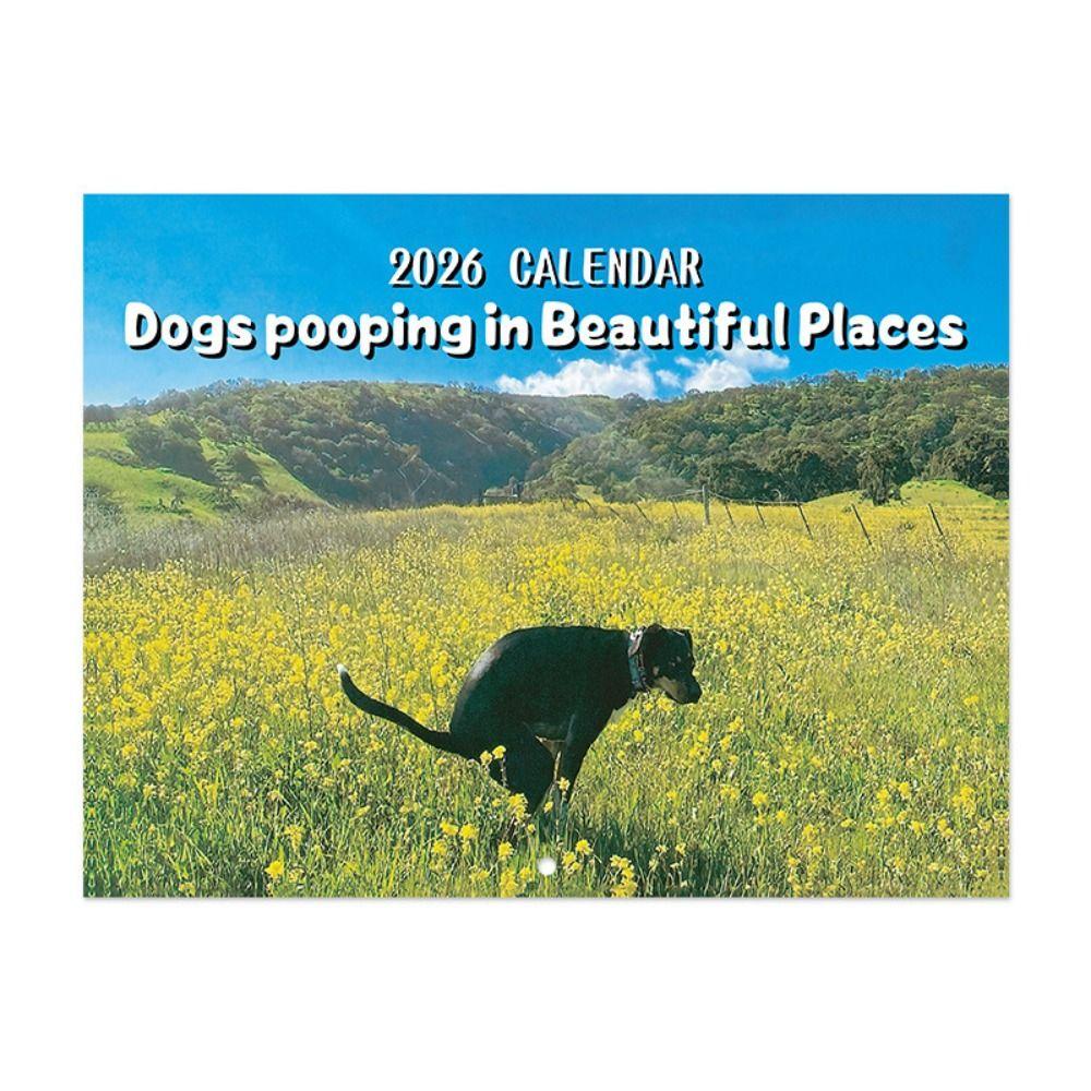 2026 Funny Cat Calendar Gag Gift Family Planner NEW Cat Butt Calendar  Office