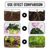 Nutriment Liquide pour Plantes Engrais Floraux Composé Spécial Croissance Enracinement Jardin